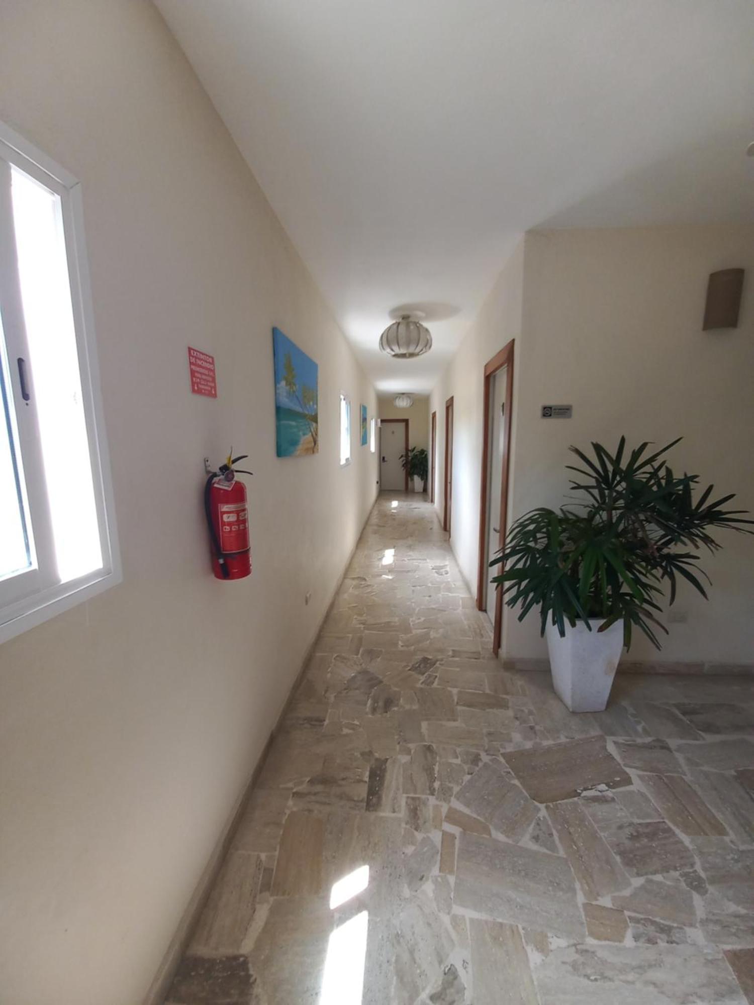 Hotel Casa Olga Las Terrenas Eksteriør bilde